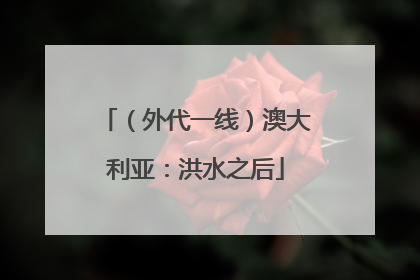 （外代一线）澳大利亚：洪水之后