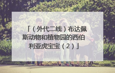（外代二线）布达佩斯动物和植物园的西伯利亚虎宝宝（2）