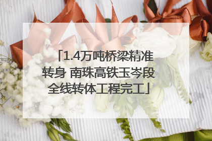 1.4万吨桥梁精准转身 南珠高铁玉岑段全线转体工程完工