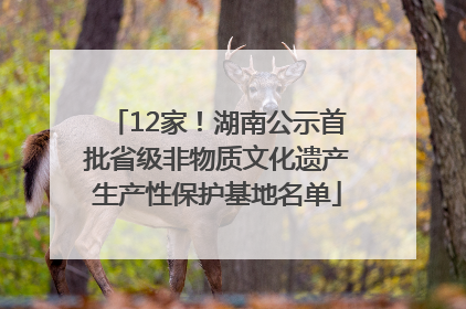 12家！湖南公示首批省级非物质文化遗产生产性保护基地名单