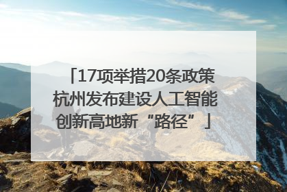 17项举措20条政策 杭州发布建设人工智能创新高地新“路径”