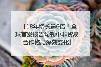 18年增长逾6倍！全球首发报告勾勒中非贸易合作格局深刻变化