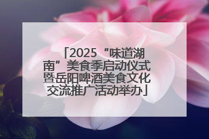 2025“味道湖南”美食季启动仪式暨岳阳啤酒美食文化交流推广活动举办