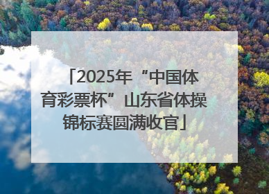 2025年“中国体育彩票杯”山东省体操锦标赛圆满收官