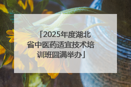 2025年度湖北省中医药适宜技术培训班圆满举办