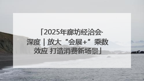 2025年廊坊经洽会·深度｜放大“会展+”乘数效应 打造消费新场景