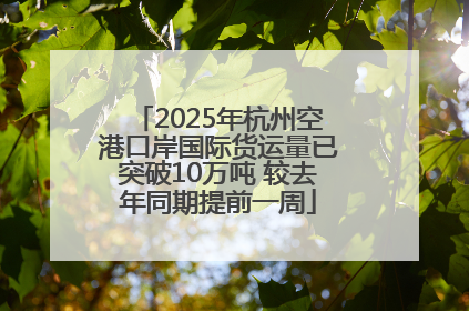 2025年杭州空港口岸国际货运量已突破10万吨 较去年同期提前一周