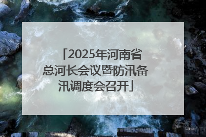2025年河南省总河长会议暨防汛备汛调度会召开