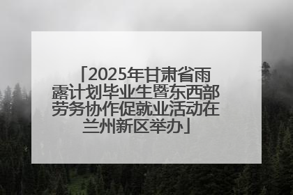2025年甘肃省雨露计划毕业生暨东西部劳务协作促就业活动在兰州新区举办