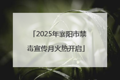 2025年襄阳市禁毒宣传月火热开启
