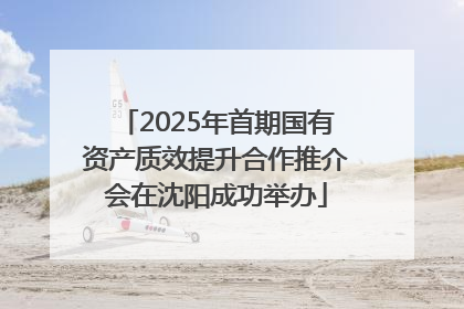 2025年首期国有资产质效提升合作推介会在沈阳成功举办