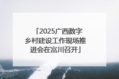 2025广西数字乡村建设工作现场推进会在富川召开
