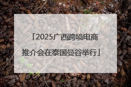 2025广西跨境电商推介会在泰国曼谷举行