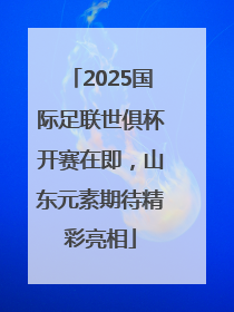 2025国际足联世俱杯开赛在即，山东元素期待精彩亮相
