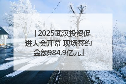 2025武汉投资促进大会开幕 现场签约金额984.9亿元