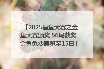 2025福鱼大赛之金鱼大赛颁奖 56尾获奖金鱼免费展览至15日