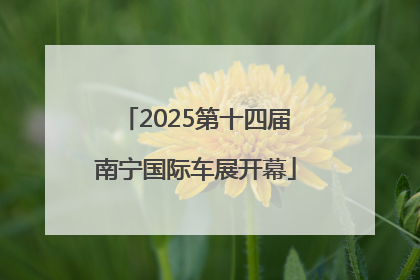 2025第十四届南宁国际车展开幕
