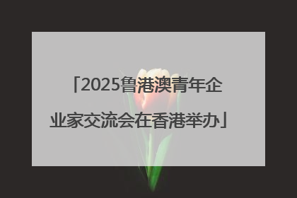 2025鲁港澳青年企业家交流会在香港举办