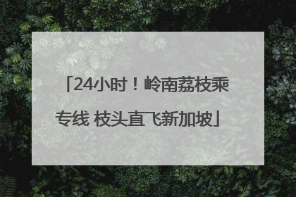 24小时！岭南荔枝乘专线 枝头直飞新加坡