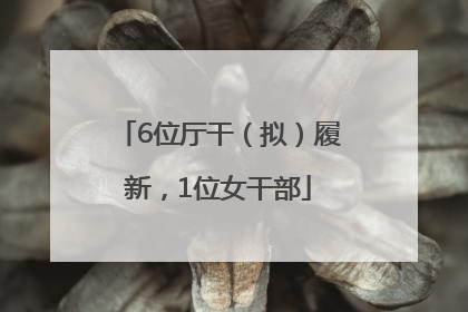 6位厅干（拟）履新，1位女干部