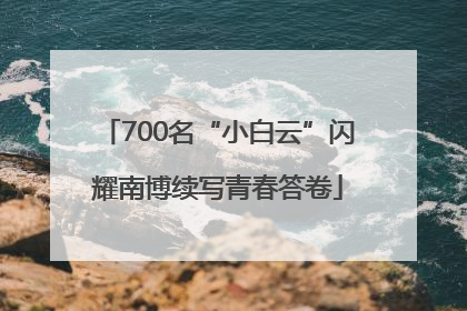 700名“小白云”闪耀南博续写青春答卷
