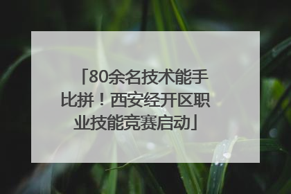 80余名技术能手比拼！西安经开区职业技能竞赛启动