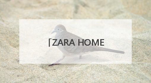 ZARA HOME将撤出长沙 本土品牌以高性价比抢占市场